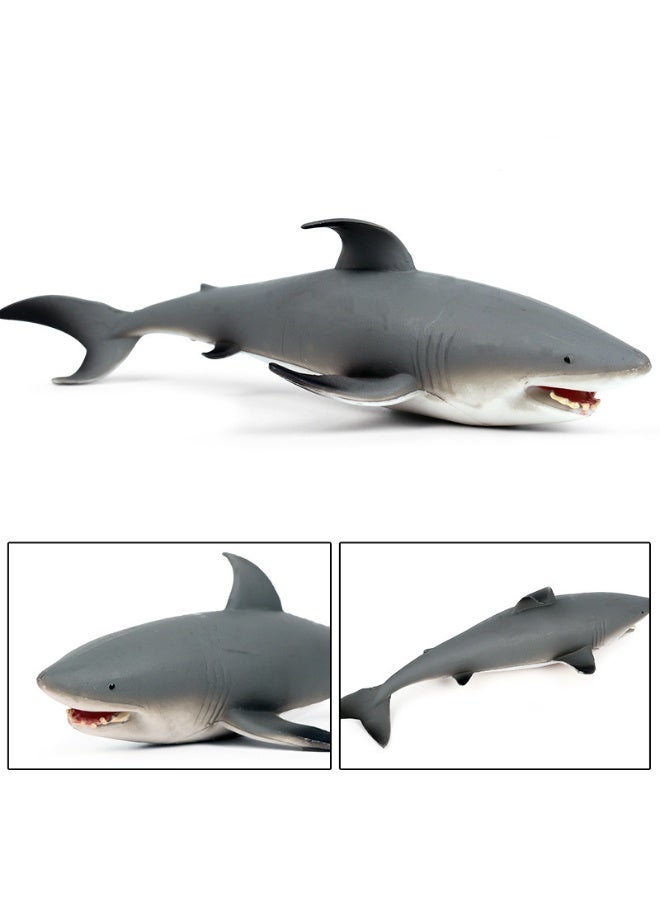 هالامودو مجموعة نماذج الحيوانات البحرية المكونة من 4 قطع -تماثيل مخلوقات المحيط الواقعية بما في ذلك دولفين، أوركا، سرطان حدبة الحصان، القرش، ألعاب معرفية بلاستيكية صلبة، هدية حفلة موضوع المحيط، هدية عيد ميلاد للأولاد والبنات - Image 4