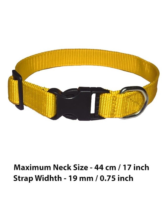 Nylon Dog Rope with Classic Collar (Yellow) - Image 2