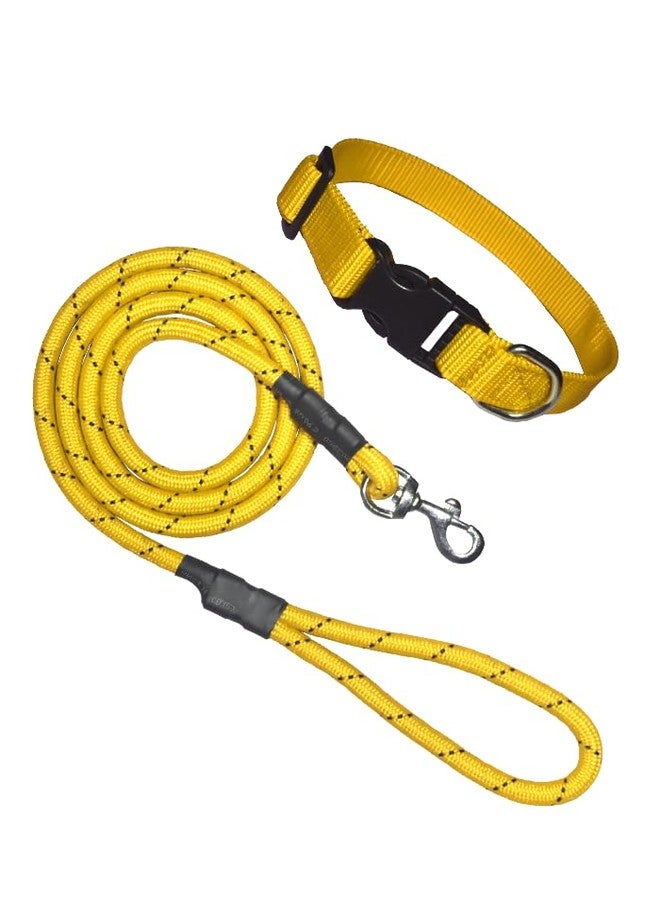 Nylon Dog Rope with Classic Collar (Yellow) - Image 1