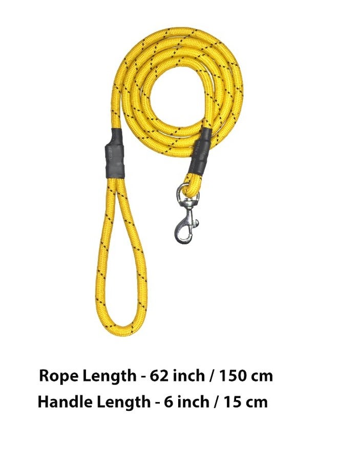 Nylon Dog Rope with Classic Collar (Yellow) - Image 4