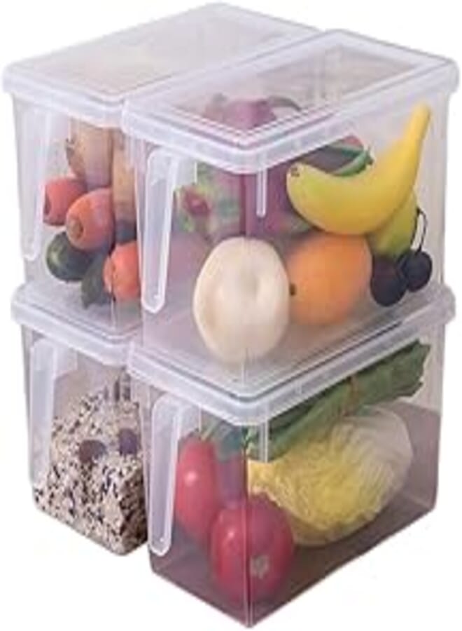 PENGKE PENGKE 4 Pieces Plastic Food Storage Containers with Lid and Handle for Kitchen Refrigerator Egg Fruit Vegetable Storage Container 