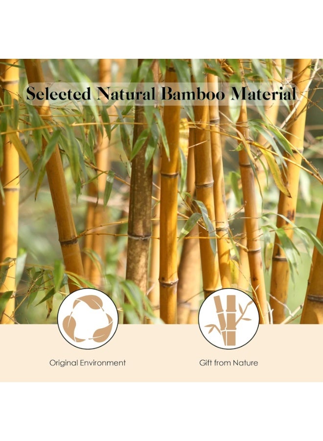 Bamboo Hair Brush – Natural Wooden Paddle Hairbrush with Bamboo Bristles for Hair Growth & Scalp Massage, Detangling Brush for Women, Men & Kids, Suitable for All Hair Types, Ergonomic Handle - Image 5