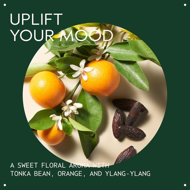 Aveda Cherry Almond Hand Body Wash with Sweet Almond Oil Cherry Blossom Extract Sweet Floral Aroma of Tonka Bean Certified Organic Orange Ylang Ylang 97 Naturally Derived - Image 3