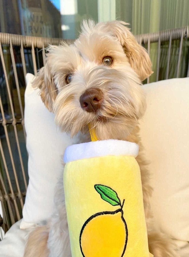 TONBO Summertime Combo - Crinkle Plush Cute Dog Toys, Popsicle, Watermelon, Lemonade (Summertime Combo) - Image 3