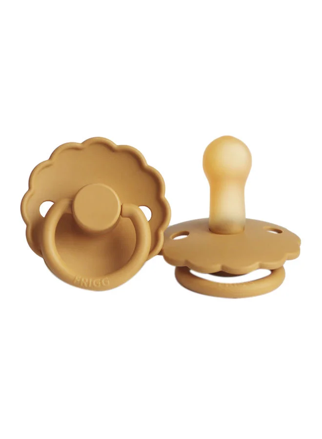 فريج Daisy Latex Baby Pacifier, 6-18 Months, Pack of 1, Size 2 - Honey Gold