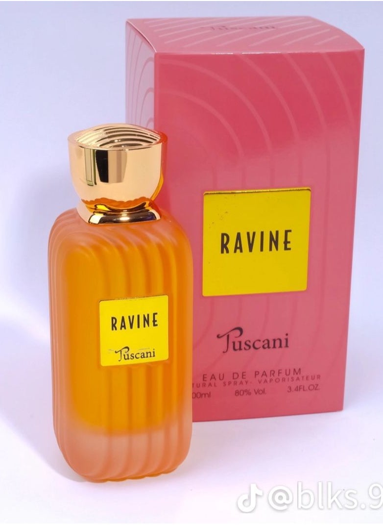 RAVINE  TUSCANI EAU DE PARFUM 100ml - pzsku/Z5A114BEDA5EAA29BB755Z/45/_/1738229116/72ba2d79-cc10-4dff-966f-b01183df21d4