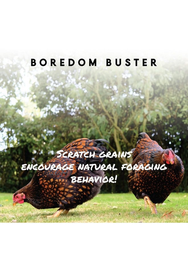 Manna Pro Ultimate Scratch Chicken Feed  Nutrient Rich Chicken Treat  10 Lb Chicken Scratch - Image 3