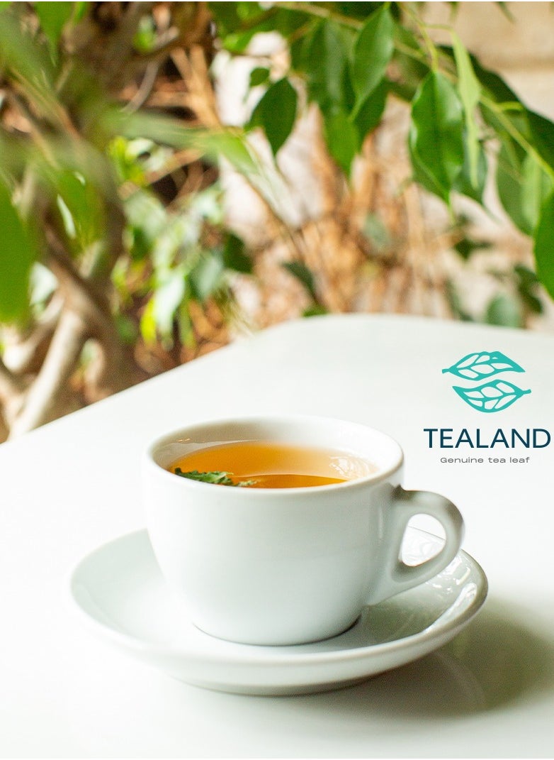 Tealand - Green Tea Japan Sencha Herbaceous Lightly Astringent Quenching Genuine & Antioxidant Rich - Image 1