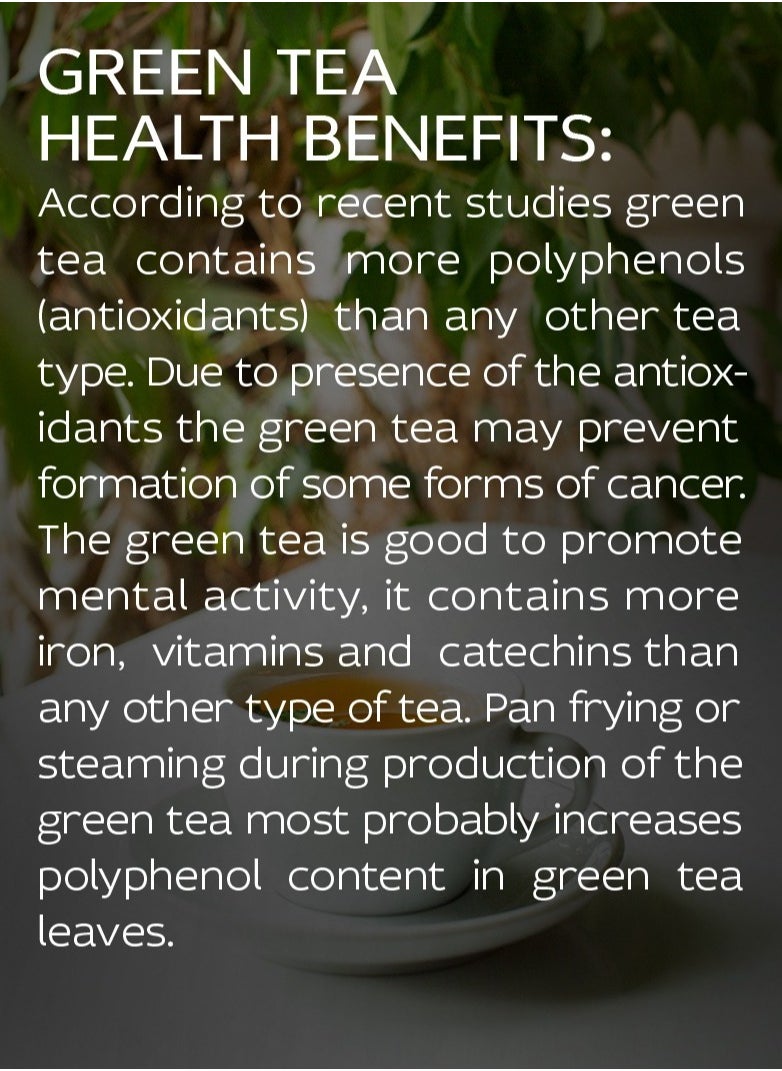 Tealand - Green Tea Japan Sencha Herbaceous Lightly Astringent Quenching Genuine & Antioxidant Rich - Image 1