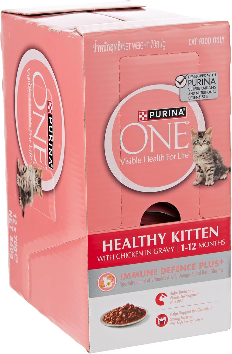 Purina One Healthy Kitten Cat Food with Chicken in Gravy Wet Cat Food Pouch (70g, Pack of 24) - Image 1
