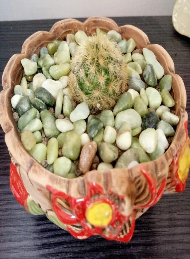 SHIZWU 2LB Succulent Jade Pebbles for Indoor Plants, 3/8 Inch Natural Decorative Polished Stones, River Rocks for Landscaping,Vase, Flowerpot Decoration, Indoor Decoration and Garden Decoration - Image 4