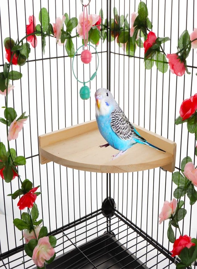 في تربو واي عبوتان من منصات خشبية للطيور، مناسبة للببغاوات، والباراكيت، والكونيور، والببغاء الرمادي الأفريقي، والكوكاتو، والبادجي، والمكاو، وطيور الحب، والعصافير، والكناري، والهامستر، والجربوع، والفئران، وغيرها. - Image 2