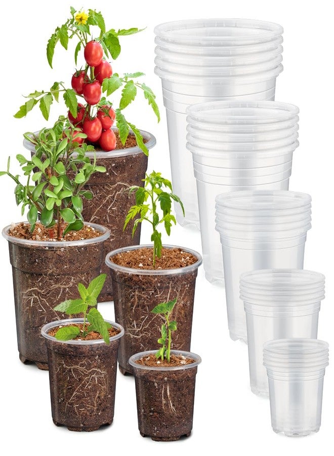 RooTrimmer 30 Pack 7/6/5/4/3 Inch Clear Plant Nursery Pots, Flexible Plastic Pots with Drain Holes, Clear Seed Pots, Variety Pack for - Image 1
