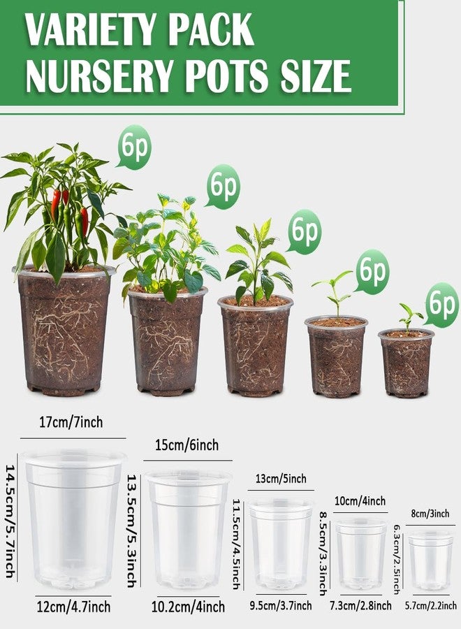 RooTrimmer 30 Pack 7/6/5/4/3 Inch Clear Plant Nursery Pots, Flexible Plastic Pots with Drain Holes, Clear Seed Pots, Variety Pack for - Image 2