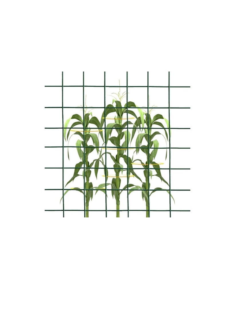 ROBUSTLINE Robustline Wire Mesh Fencing, Galvanized PVC Coated Garden Fencing, Green Steel Nets for Farming Fence, Plant Chicken Wire Fence and Animals Hen-houses Small (3.67 Mtr) (1/2" X 4FT X 12FT X 22MM)  - Image 2