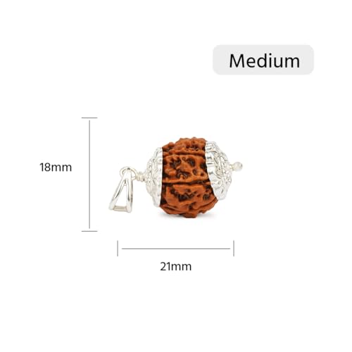 GEMSMANTRA 7 Mukhi Rudraksha With Pendant in 92.5 Sterling Silver Original Nepali, Medium size, Natural and Lab Certified, Helps to Improve Wealth, Prosperity, and Success, Helps Protect from Negative Energies (Brown, Unisex) - Image 2