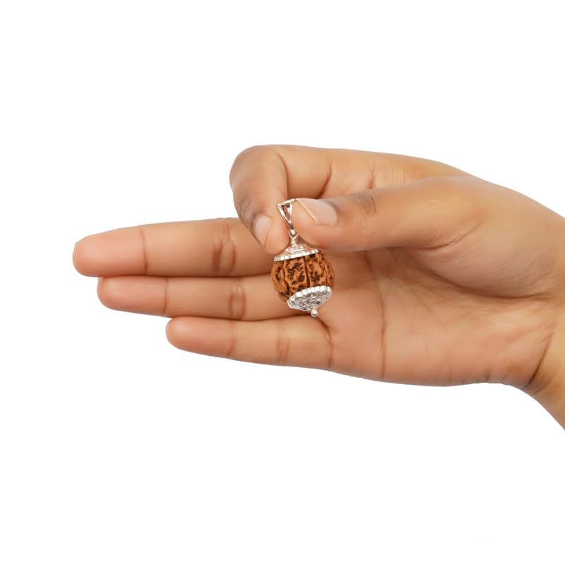 GEMSMANTRA 7 Mukhi Rudraksha With Pendant in 92.5 Sterling Silver Original Nepali, Medium size, Natural and Lab Certified, Helps to Improve Wealth, Prosperity, and Success, Helps Protect from Negative Energies (Brown, Unisex) - Image 3