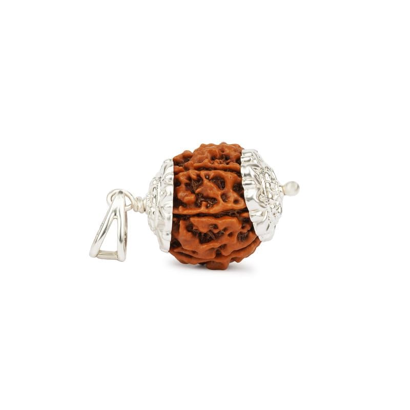 GEMSMANTRA 7 Mukhi Rudraksha With Pendant in 92.5 Sterling Silver Original Nepali, Medium size, Natural and Lab Certified, Helps to Improve Wealth, Prosperity, and Success, Helps Protect from Negative Energies (Brown, Unisex) - Image 1