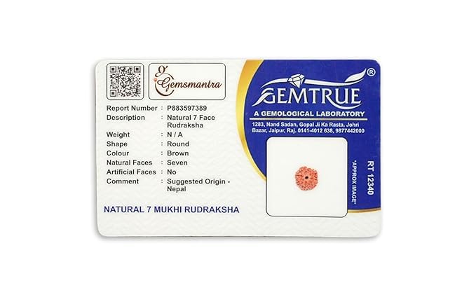 GEMSMANTRA 7 Mukhi Rudraksha With Pendant in 92.5 Sterling Silver Original Nepali, Medium size, Natural and Lab Certified, Helps to Improve Wealth, Prosperity, and Success, Helps Protect from Negative Energies (Brown, Unisex) - Image 4