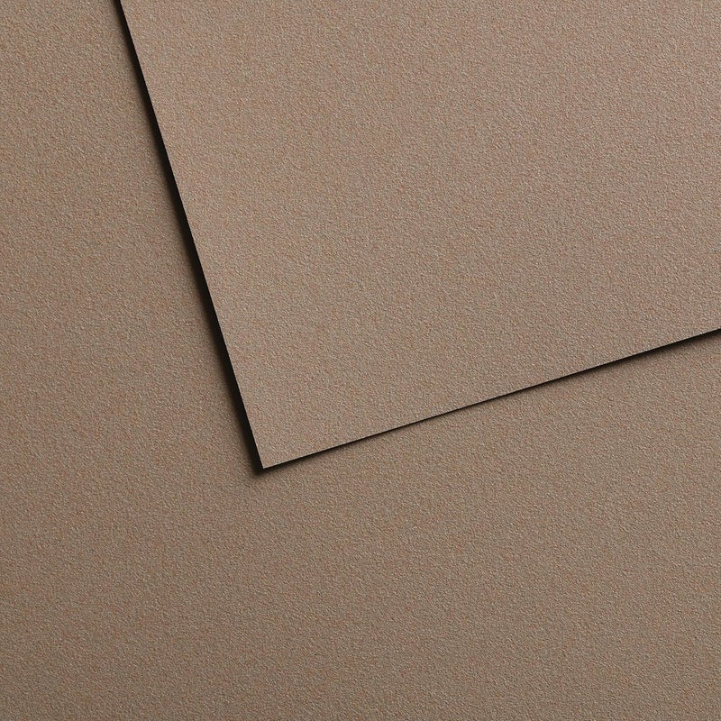 CANSON Canson MiTeintes Velvet Drawing Paper Sheet Grey Brown 260lb430g 1 Sheet 1969x256 inch 1 Count 