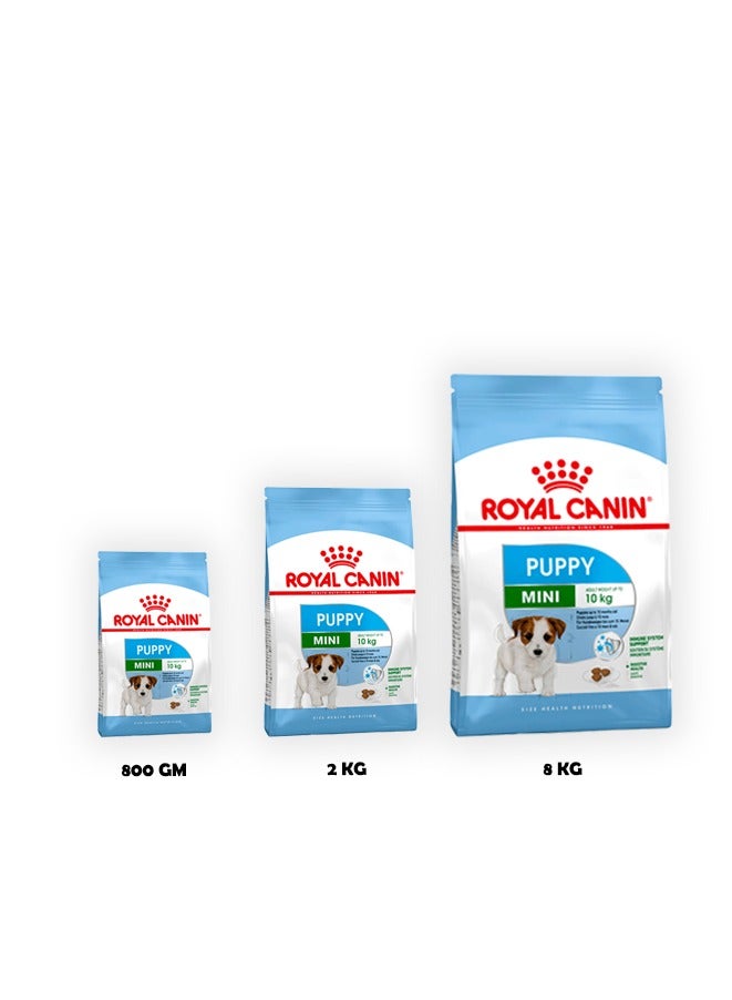 رويال كانين طعام جاف للكلاب الصغيرة - Image 2
