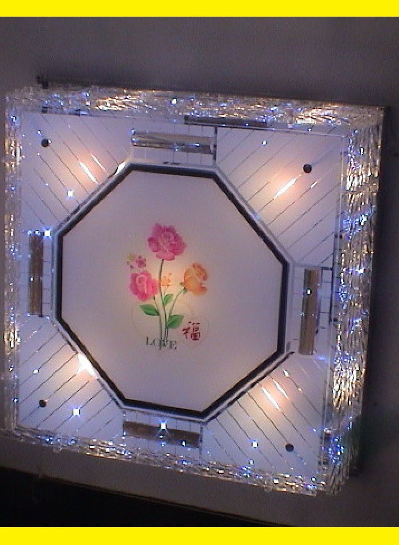 Ceiling Light 8620