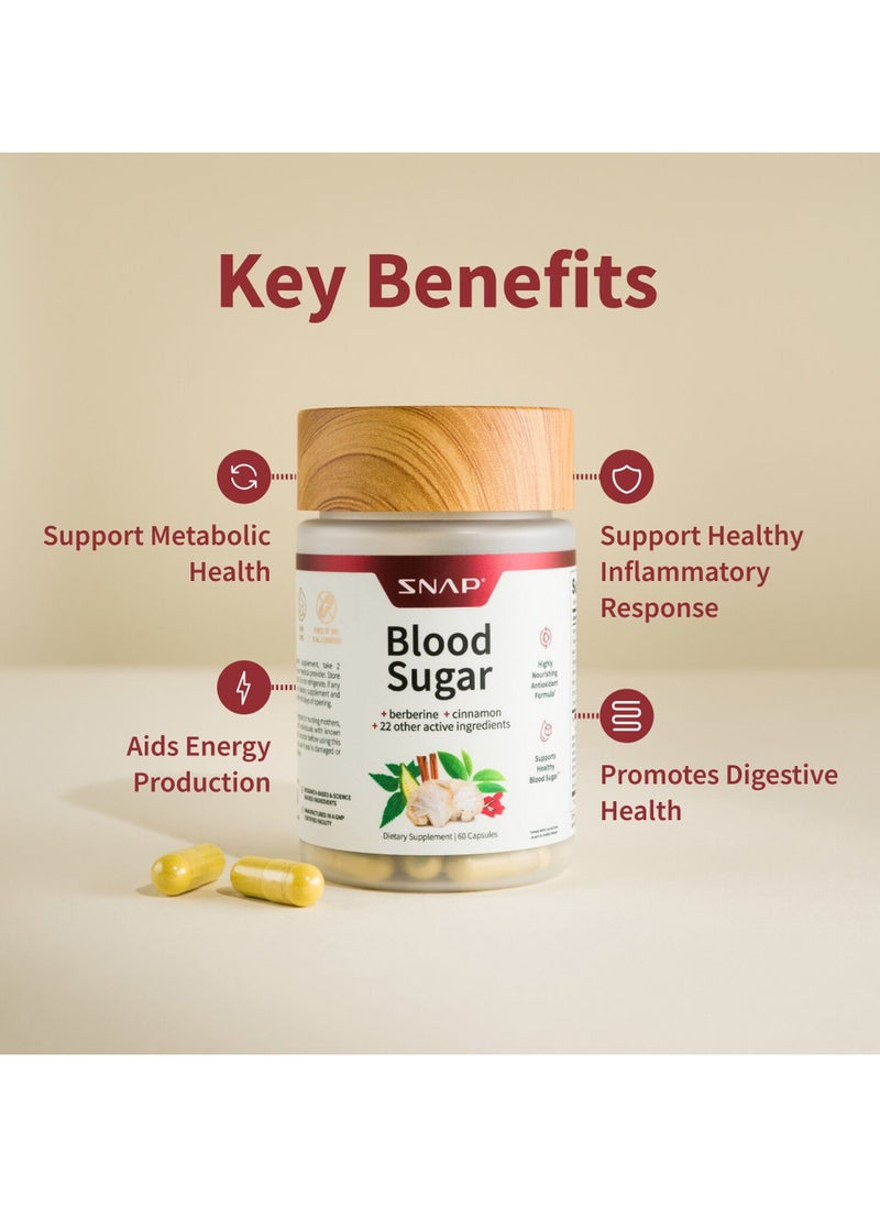 SNAP SUPPLEMENTS - Blood Sugar Berberine, Cinamon and 22 Active Ingredients, Dietary Supplement - 60 Capsules - Image 1