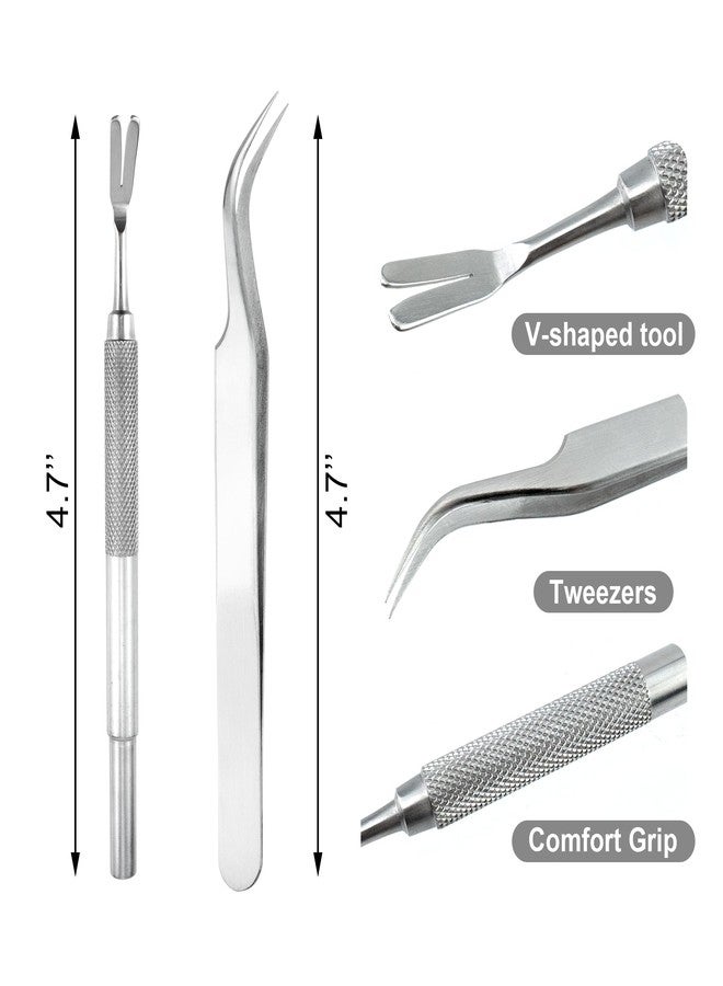 Quacc 2 PCS Tick Removal Tool Kit for Dogs Cats Humans Stainless Steel Tick Remover Tweezers with Storage Box - Image 2