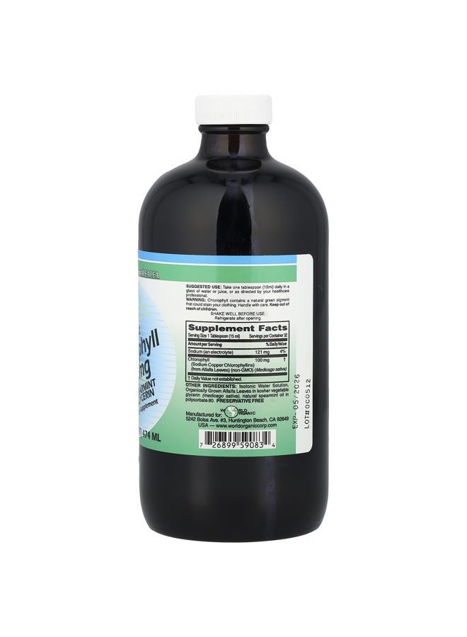World Organic s Liquid Chlorophyll Liquid with Spearmint, 16 Fluid Ounce - Image 2