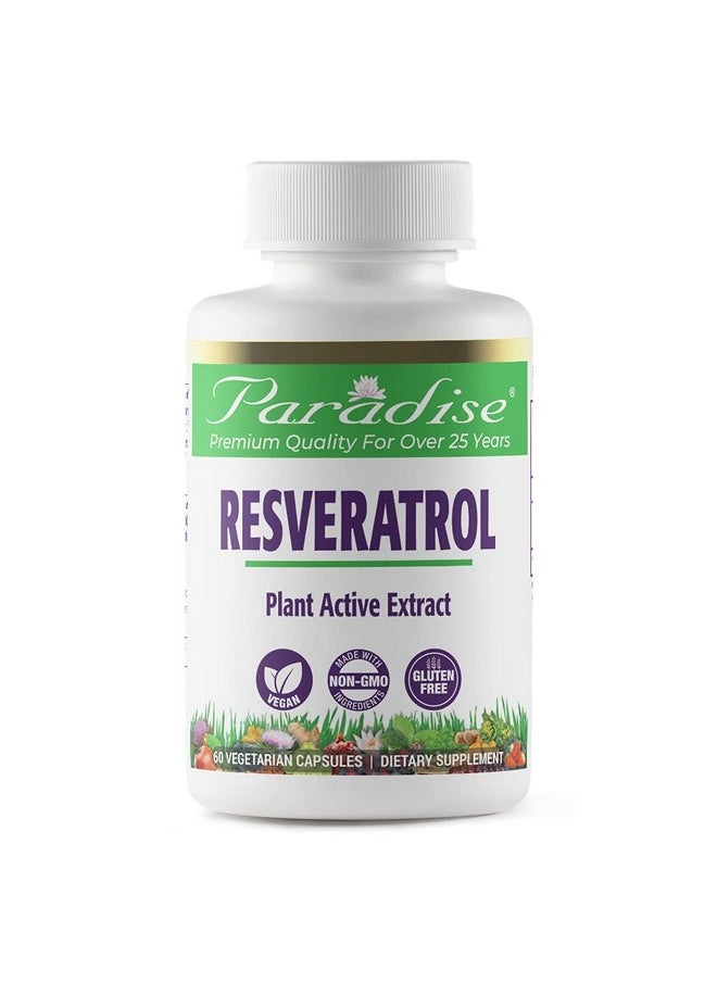 Resveratrol Antioxidant Vegan Non Gmo Gluten Free 60 Vegetarian Capsules - pzsku/Z5A25C92FA8C0B180F502Z/45/_/1695133997/88a7b563-f76f-48bb-a4ad-cccb26fc1b86