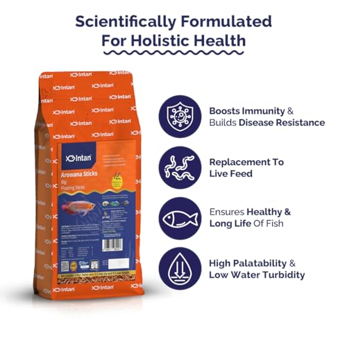 Intan Arowana Sticks (Big 3.2x9.5mm Floating) | 1Kg - Highly Nutritious Ornamental Fish Food for Arowanas, Large Cichlids Like Peacock Bass & Oscars | Growel Feeds - Image 4
