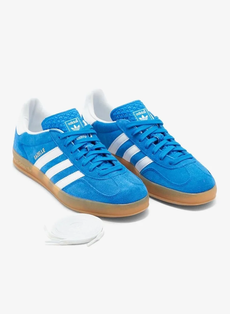 Gazelle Indoor