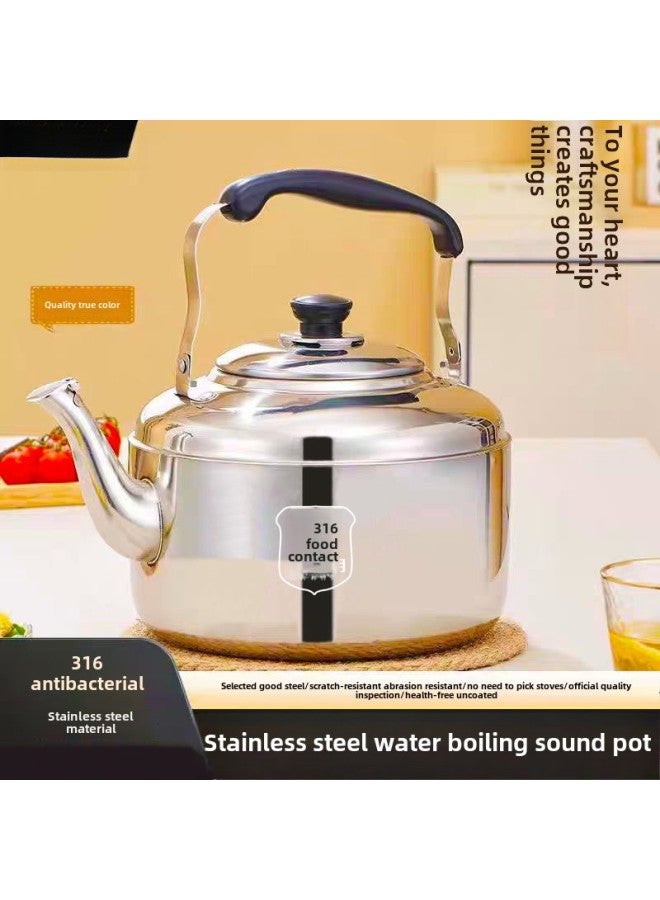 Antibacterial 316 Stainless Steel Kettle Sound Kettle Household Kettle-Colour:[antibacterial Grade 316 Extra Thick] Ten-year Warranty-Capacity:6 Liters - Water Boiling Sound [free Descaling Agent + Cleaning Cloth] - Image 1
