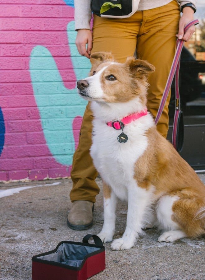OllyDog طوق OllyDog Tilden، طوق مقاوم للماء للكلاب مع مشبك سريع الفتح، حزام منسوج مقاوم للروائح، طوق خفيف الوزن للكلاب الكبيرة والمتوسطة والصغيرة (كبير، وردي) - Image 3