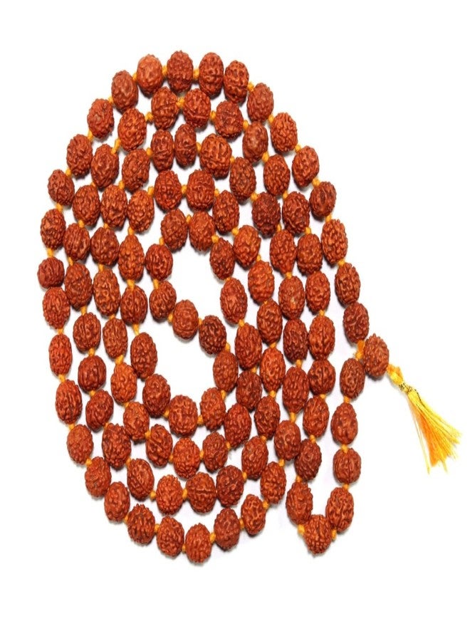 ASHIRWAD قلادة رودراكشا مالا الطبيعية النيبالية المعتمدة من ASHIRWAD، مسبحة أصلية من الهيمالايا التبتية، سوار للارتداء وجابا مالا 5 موخي مالا، 108 خرز مالا (8.0 مم بدون شهادة)