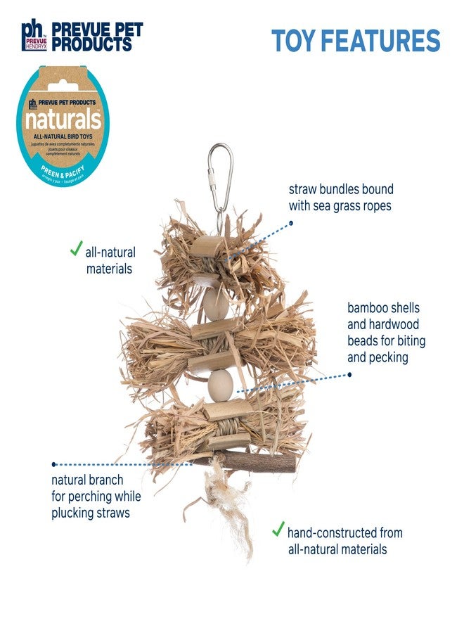 PH Prevue Hendryx Pervue Pet Products Naturals Preen & Pacify Woodland Harvest Bird Toy - Image 3
