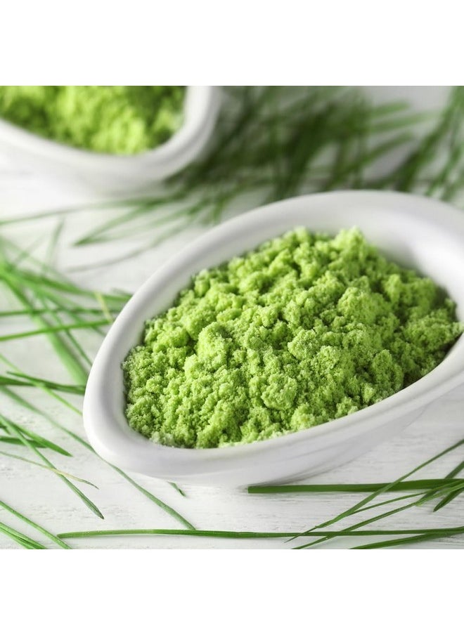 Wheat Grass Powder 100 Gm For Men & Women | Triticum Aestivum | Immunity | In Jar | In Jar 3.53 Oz