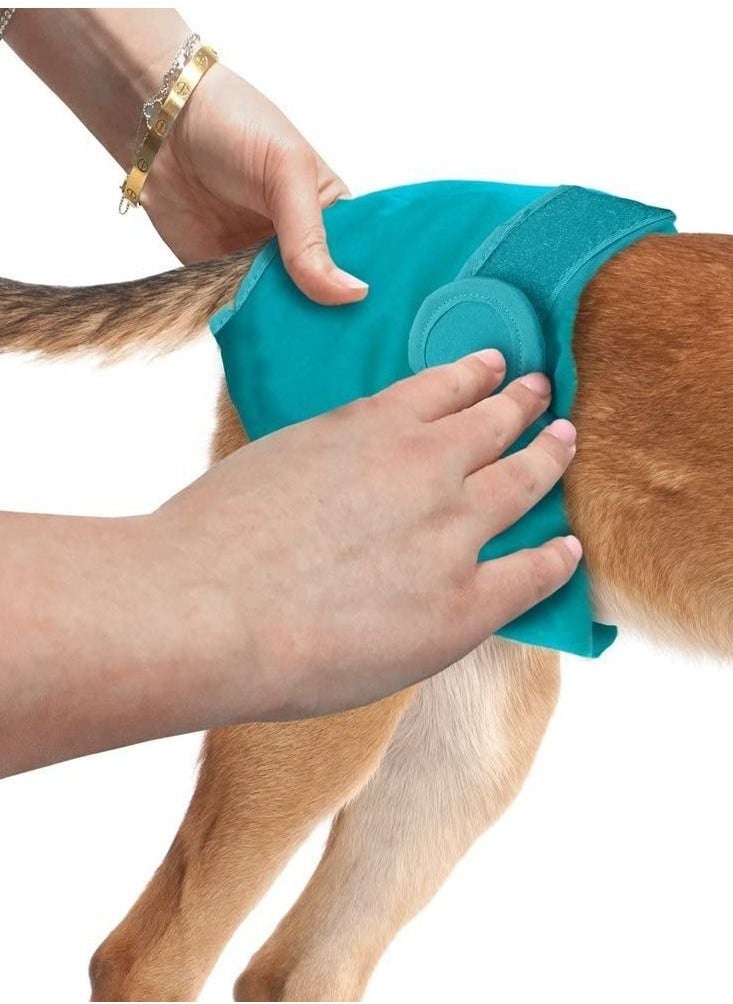 Large Washable Male Dog Wraps