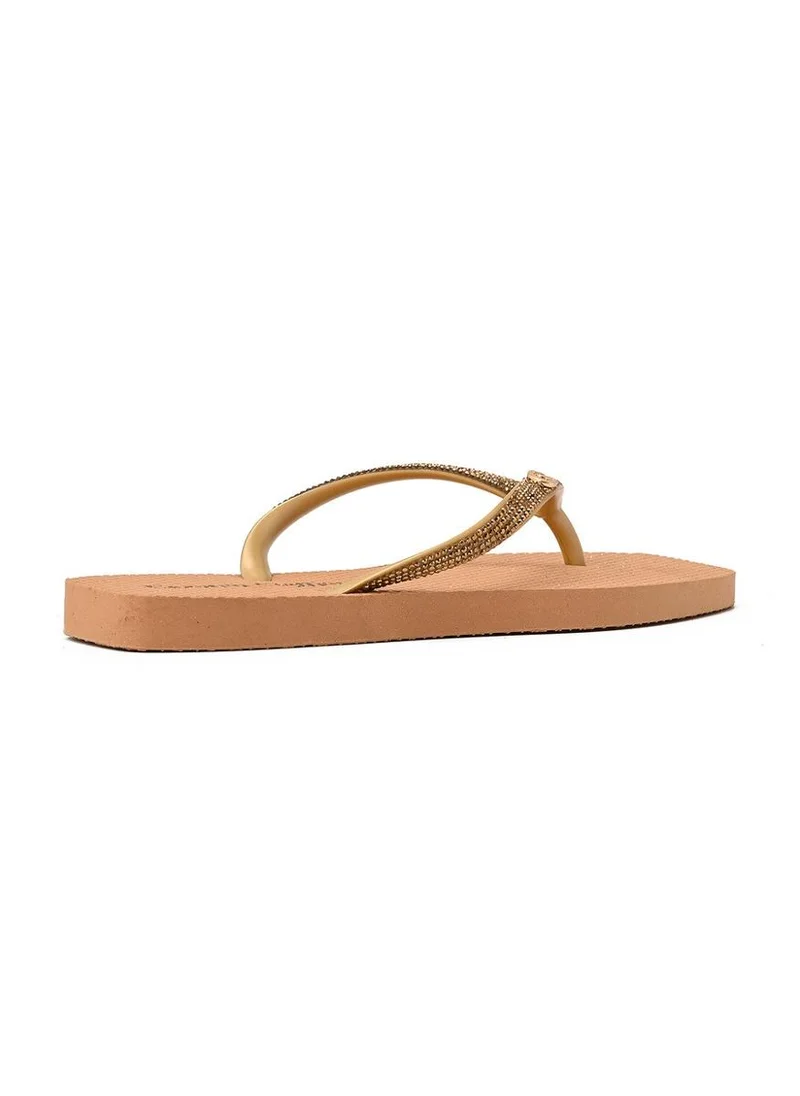 Carmen Steffens  Flip-Flops Golden Shine for Women | Best Price UAE
