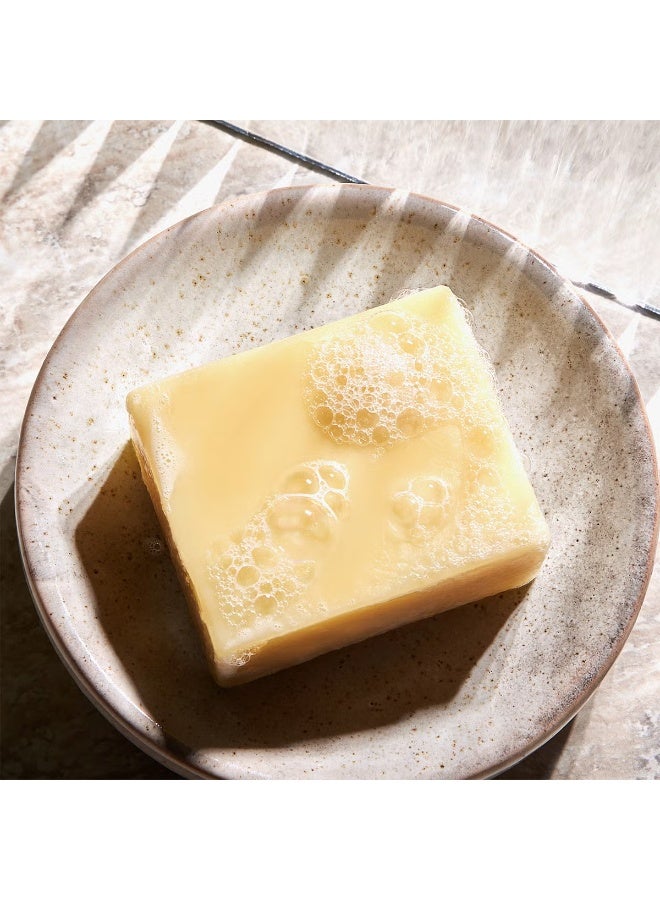 كريستوف روبن شامبو كريستوف روبن المرطب مع خلاصة الصبار 100 مل - Image 2