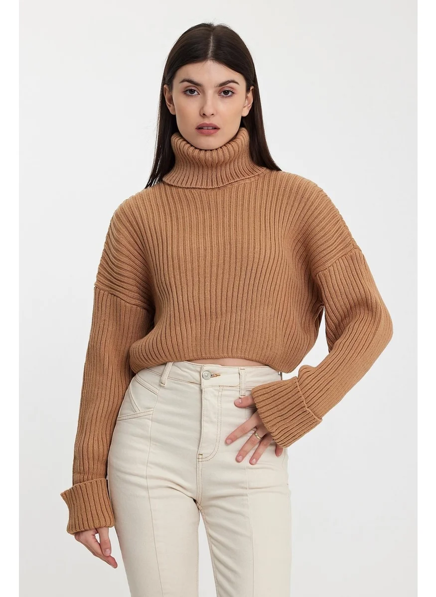 Alexandergardi Alexandergardı Sleeves Fold Turtleneck SWEATER (A92242-S)