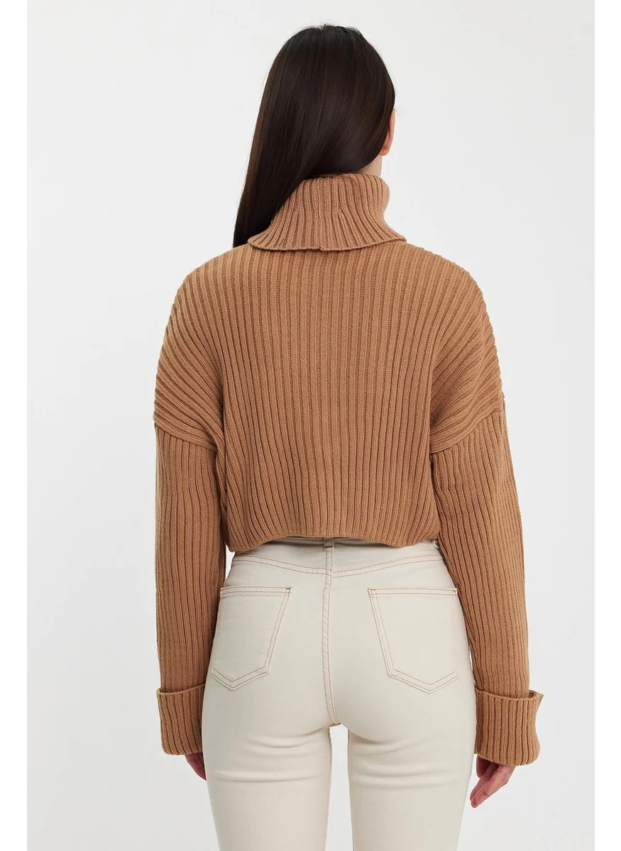 Alexandergardi Alexandergardı Sleeves Fold Turtleneck SWEATER (A92242-S)