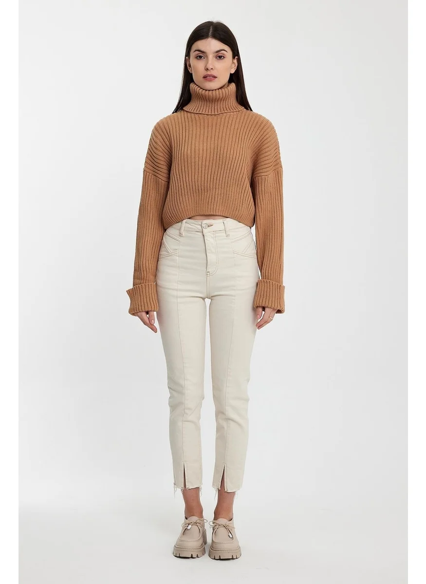 Alexandergardi Alexandergardı Sleeves Fold Turtleneck SWEATER (A92242-S)