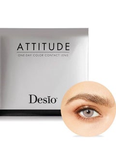 Attitude One Day Colored Contact Lenses REBEL GREY - pzsku/Z5A366100D028EB5F5A12Z/45/_/1687119605/f597a003-0070-4a4a-9671-5870c78d27c1