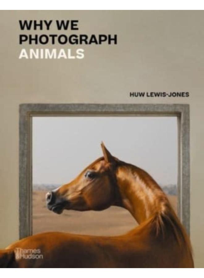Why We Photograph Animals 