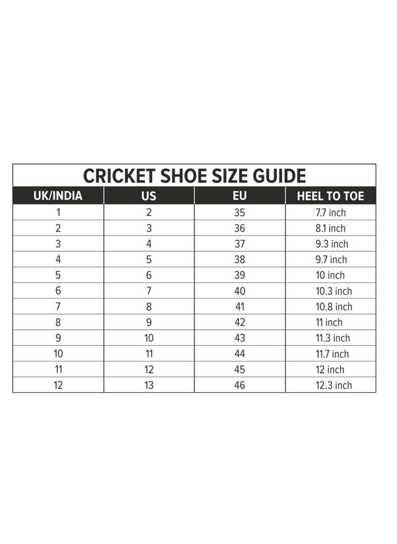 DSC Zooter Cricket Shoes | White/Blue | For Boys and Men | Polyvinyl Chloride | 2 UK, 3 US, 36 EU  - Image 2