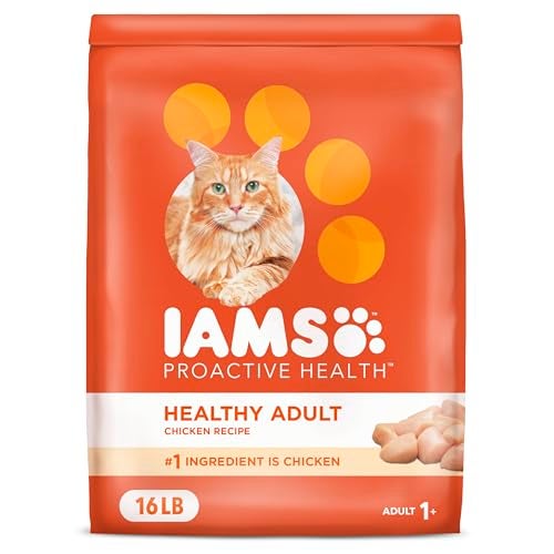IAMS Proactive Health Adult Healthy Dry Cat Food with Chicken, 16 lb. Bag - Image 1