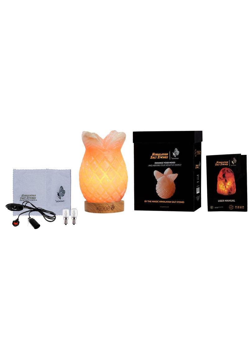Geohoney - Himalayan Salt Lamp Pineapple - Image 5