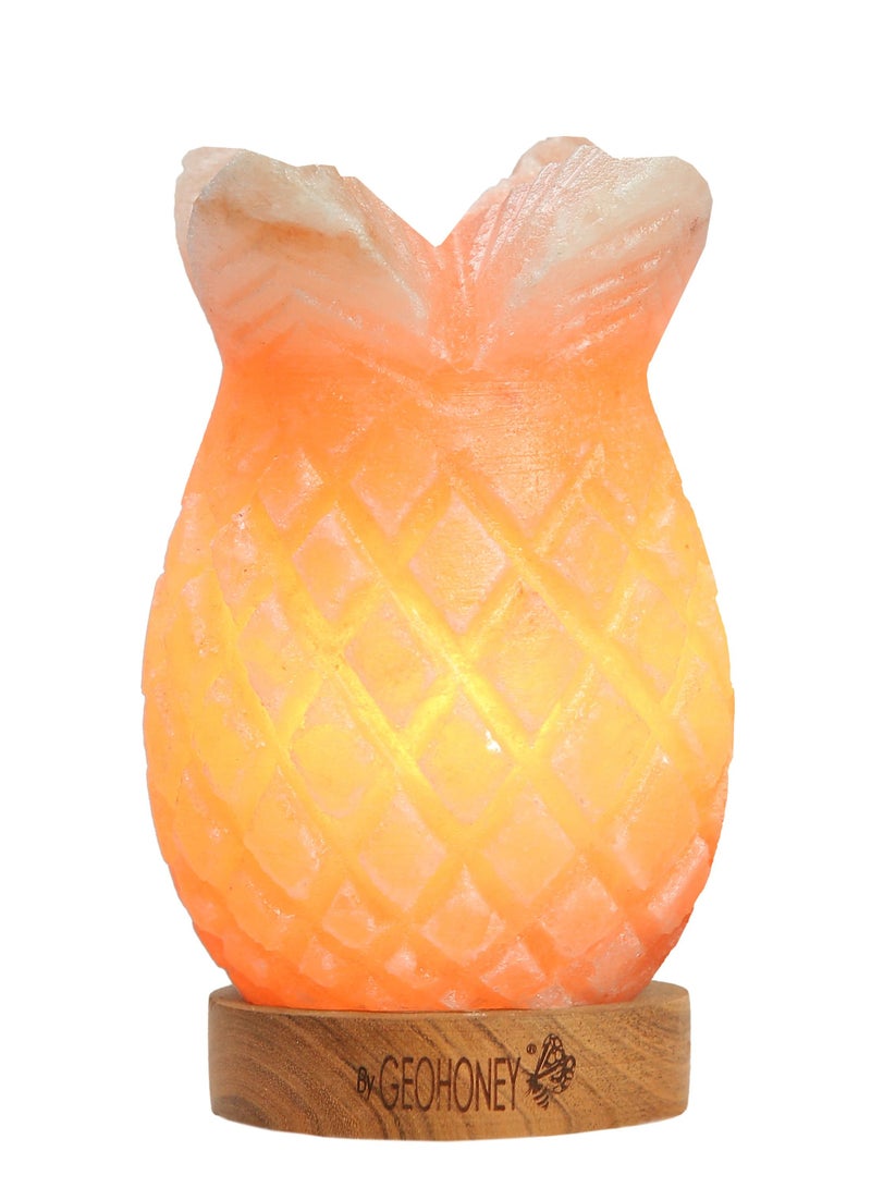 Geohoney - Himalayan Salt Lamp Pineapple - Image 1
