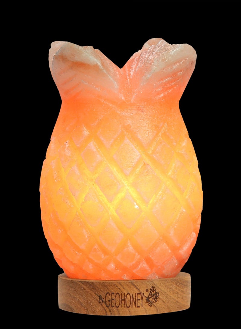 Geohoney - Himalayan Salt Lamp Pineapple - Image 4